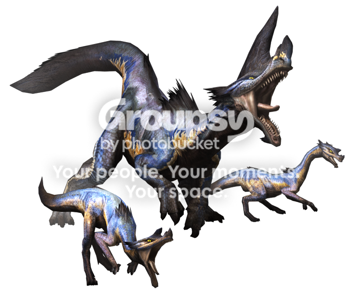 User Image